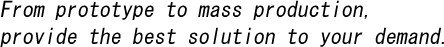 From prototype to mass production, provide the best solution to your demand.