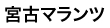 宮古マランツエレクトロ二クス