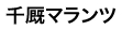 千厩マランツエレクトロ二クス